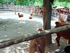 -西安秦岭野生动物园