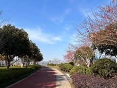 -钱塘江