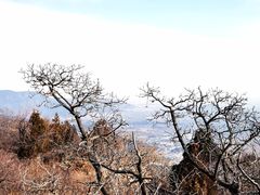 -北京西山国家森林公园