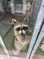 -萌宠亲子动物乐园(槐房万达店)