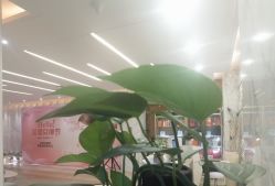 -上海时光整形外科医院