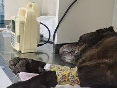 -酷宠动物医院(天通西苑店)