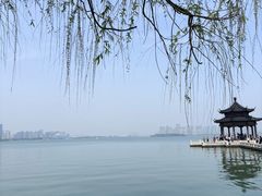 -金鸡湖景区