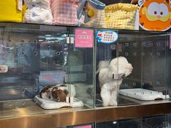 -FAELING PETS美天灵宠物(富力广场店)