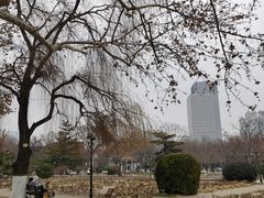 -睦南公园