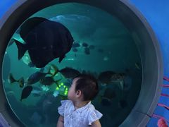 -常州海昌海洋探索馆
