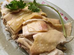 招牌百家鸡-百家鸡味馆(清泰店)