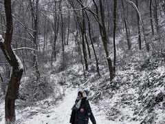 -抱龙峪