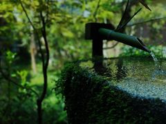 -三千院