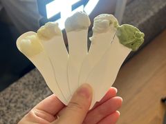 -野人先生Gelato(上海长宁龙之梦店)