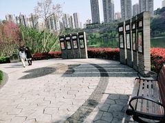 -重庆彩云湖湿地公园