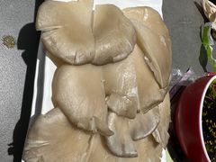 -生活如沸·顺德水牛奶火锅(大学路店)