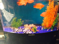 -湖庭壹品鸭王·传统北京烤鸭·别墅私房菜·庭院宵夜(江宁店)