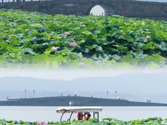-湖畔居茶楼(湖滨店)