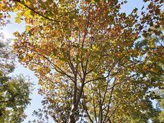 -天鹅湖体育公园