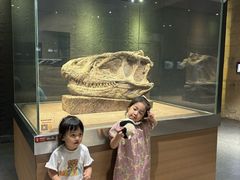 -自贡恐龙博物馆