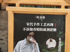 -桂满陇天书(南京德基旗舰店)