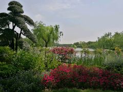 -上海鲜花港