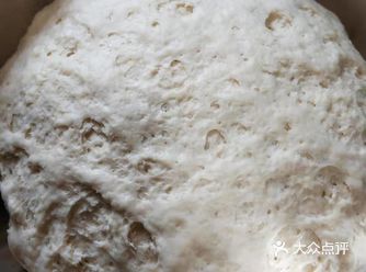 媳妇给包了茴香馅包子，好吃，把做法发出来 和面:6克