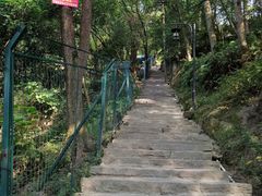 -南山植物园