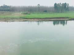 -稻香村鱼庄