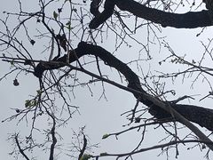 -汉长安城未央宫国家考古遗址公园