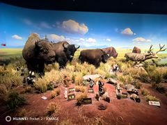 -陕西自然博物馆