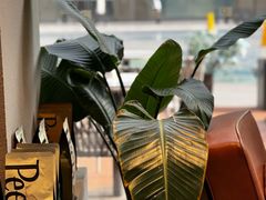 -Peet's 皮爷咖啡(望京小街店)