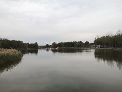 -东郊湿地公园