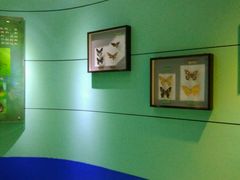 -上海昆虫博物馆