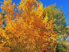 -哈尔滨文化公园