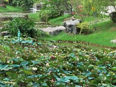 -东莞植物园