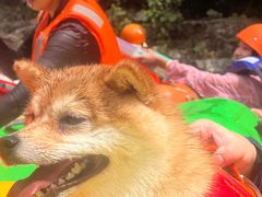 -安吉龙王山峡谷漂流