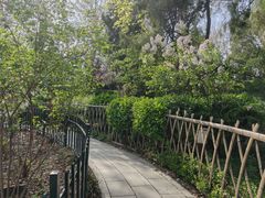 -济南大明湖景区