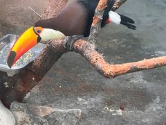 -济南野生动物世界