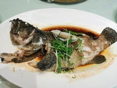 清蒸石斑-香融府·烤鸭·家常菜(马家堡路店)