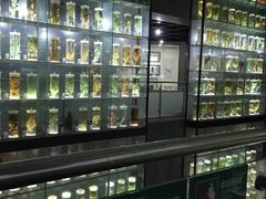 -广东中医药博物馆
