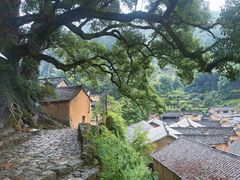 -杨家堂村
