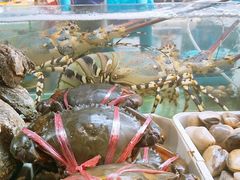 -班赞海鲜市场