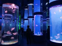 -石林冰雪海洋世界