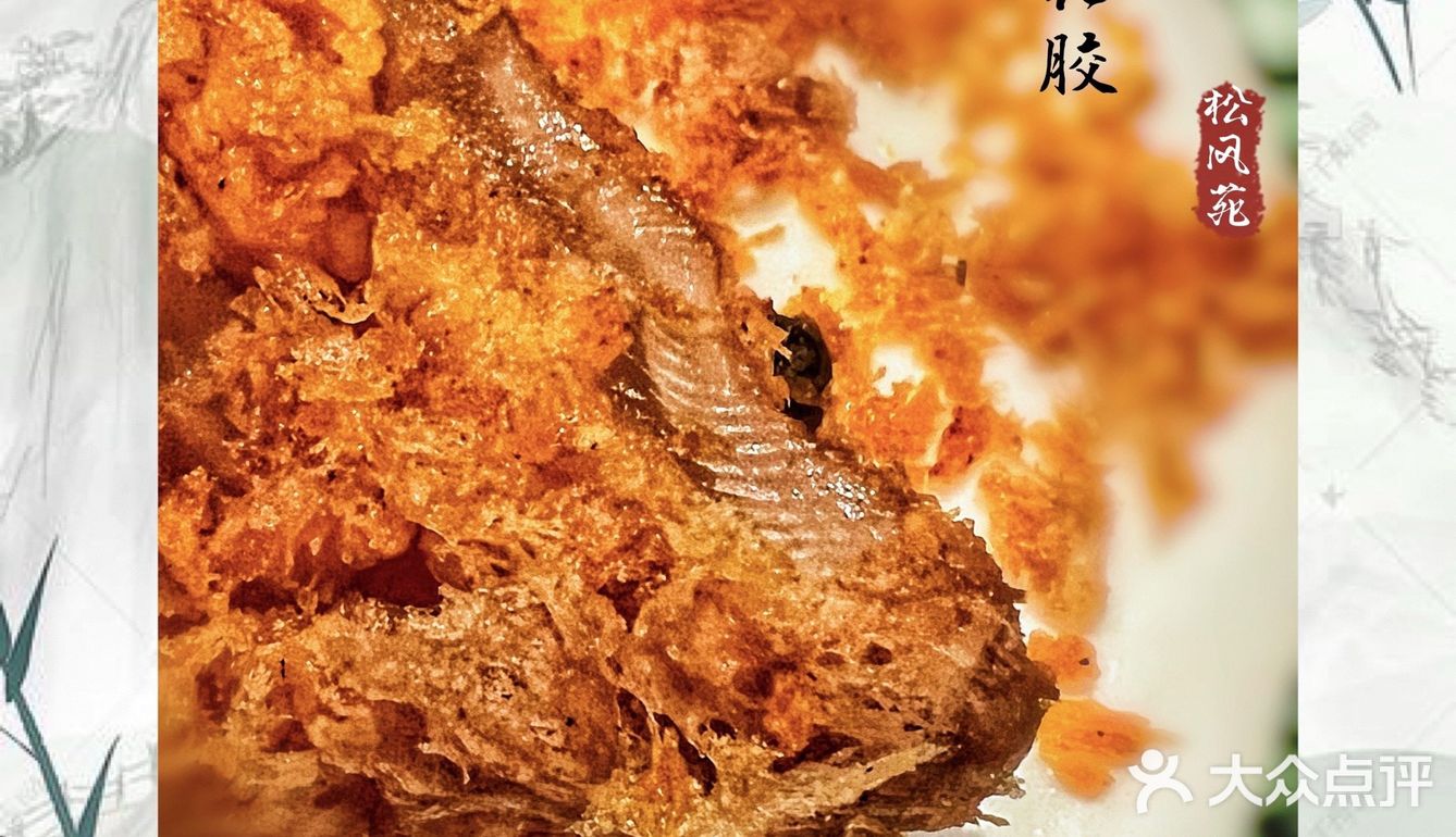 🌲大隐于市、赏松听风～雅致艺术馆里的高端私房菜