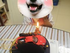 -Dark Horse·黑马蛋糕·低脂·低糖淡奶(金匙望湖大厦店)