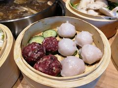 -小饕荟养生火锅(仁和·熙春郡店)