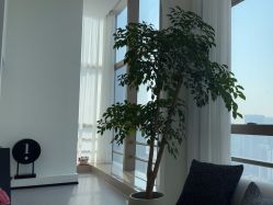 -JNK皮肤管理中心