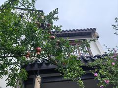 -巡塘古镇
