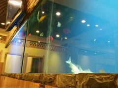 -午月海鲜烧烤酒店(不老街店)