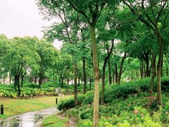 -春花秋色城市公园