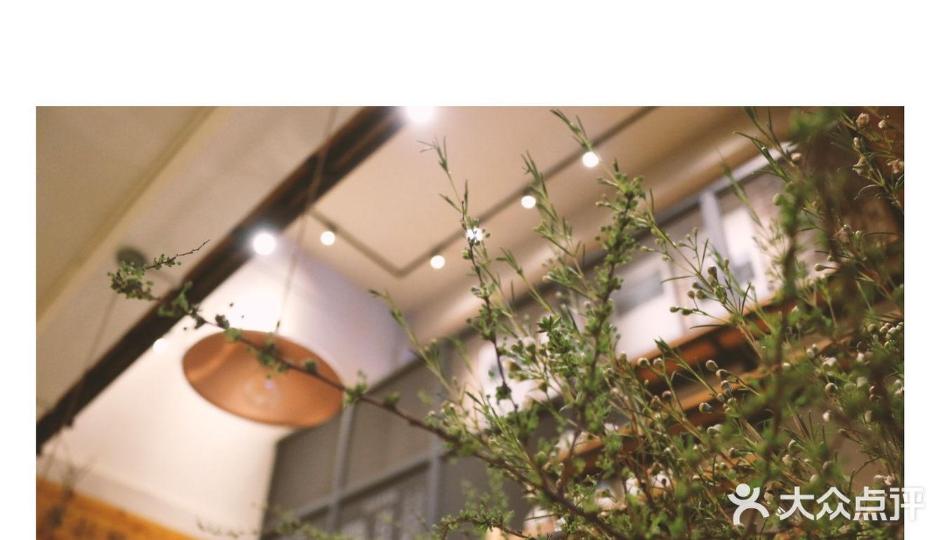 昆明北市区咖啡馆☕️之心安之地