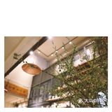 昆明北市区咖啡馆☕️之心安之地