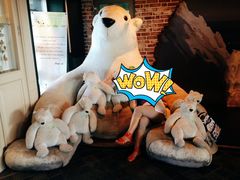 -济州岛泰迪熊博物馆